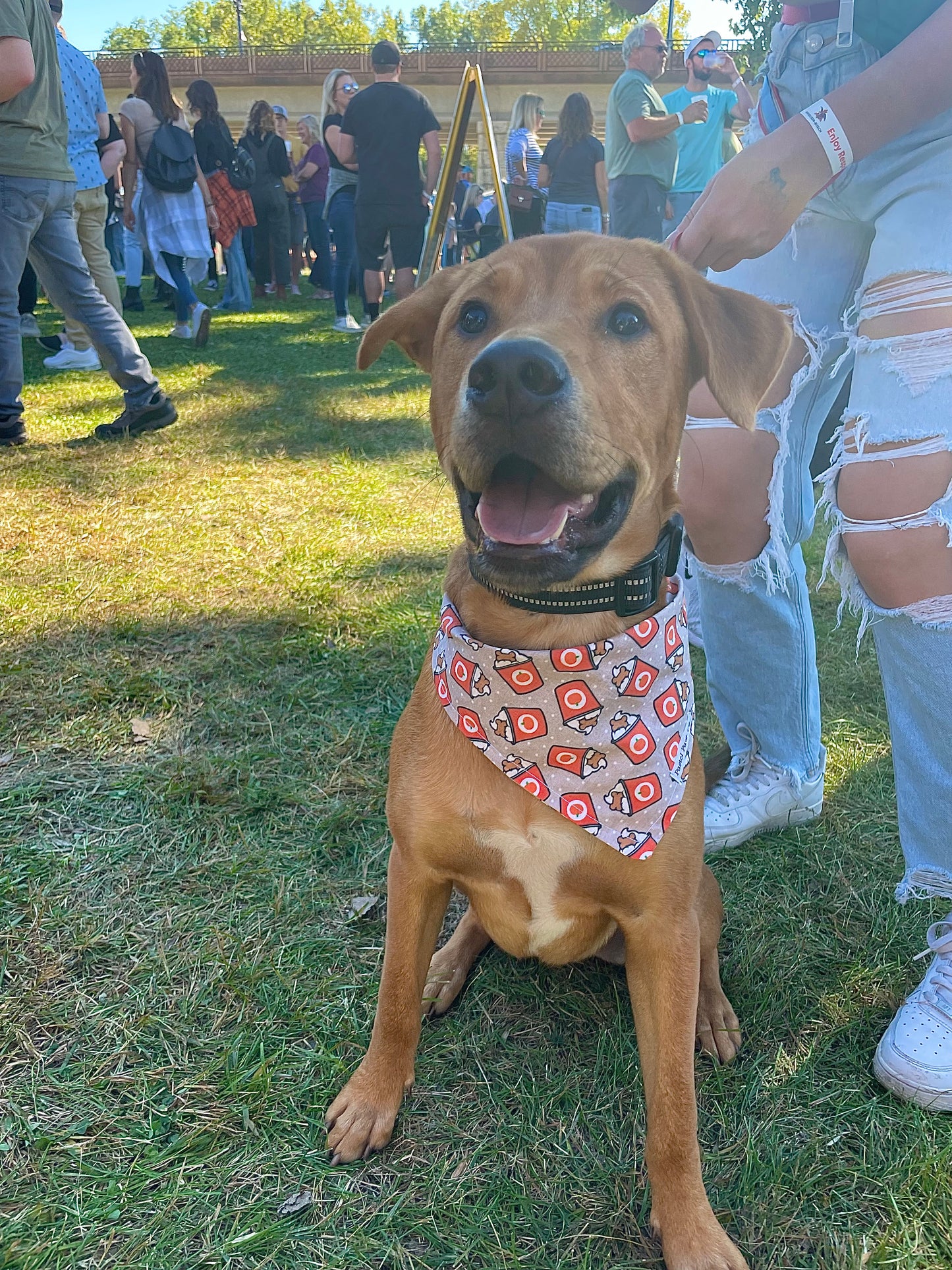 PSL Pup Cup