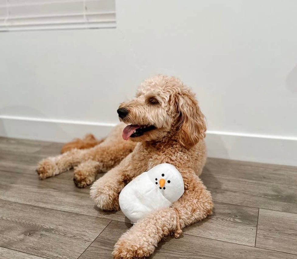 Marshmallow Snowman Rope + Plush Toy