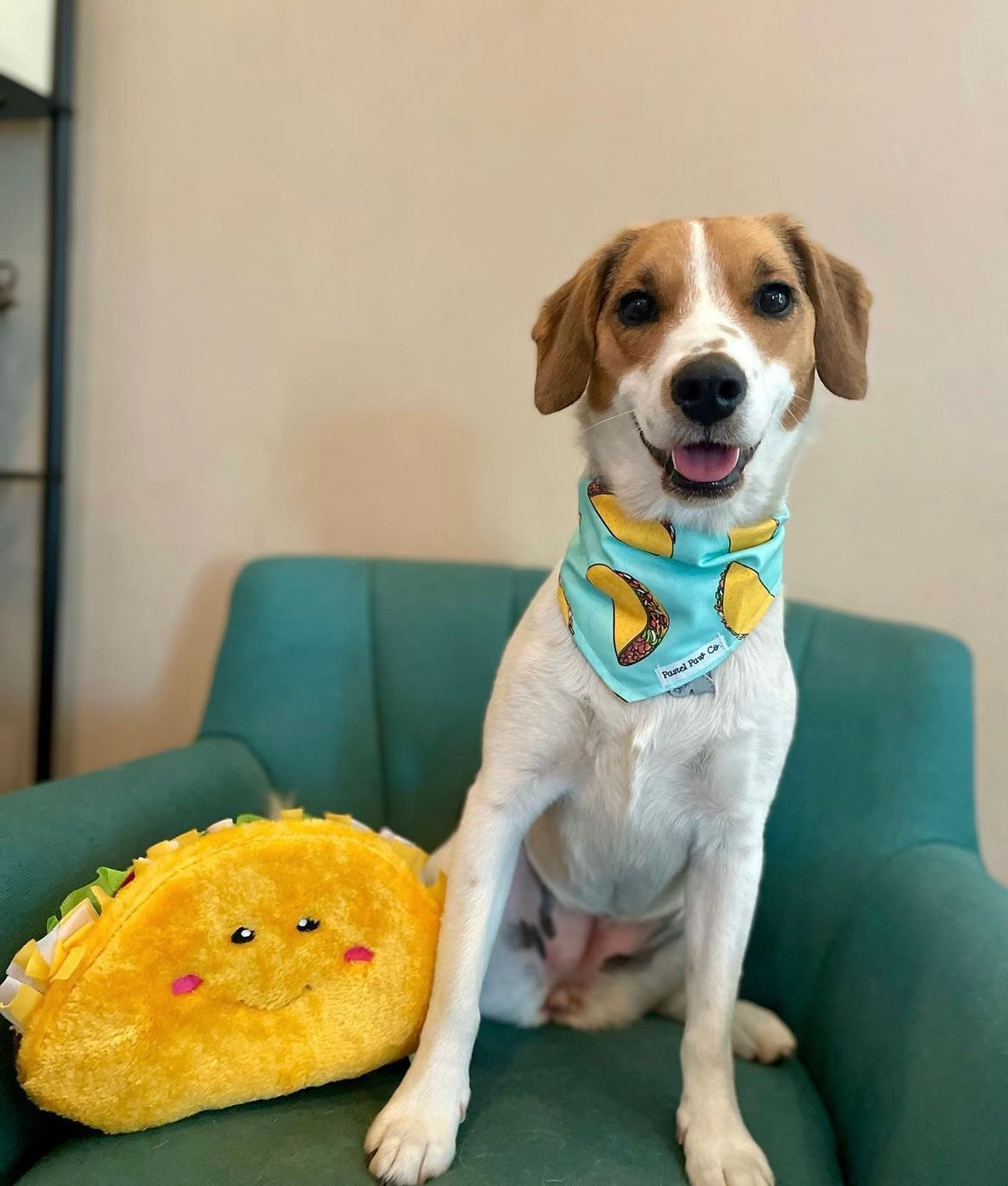 Taco Tuesday