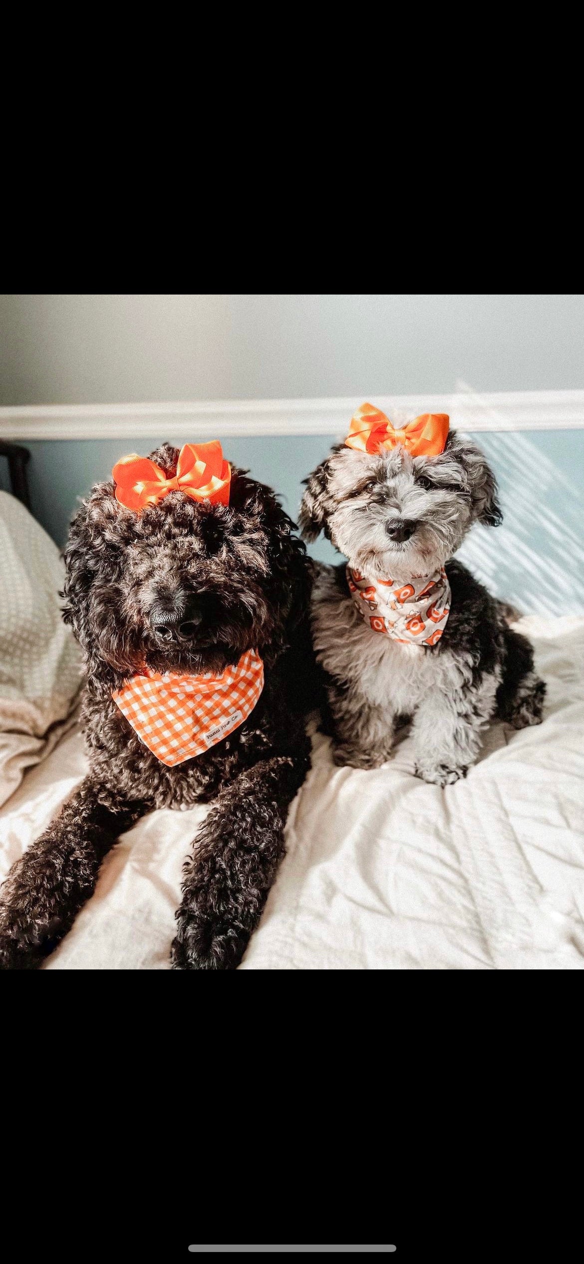 Pumpkin Plaid