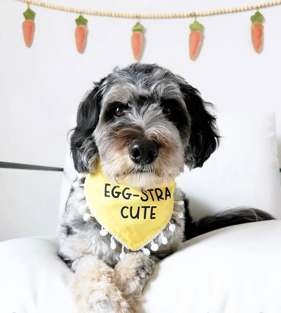 Egg-stra Cute