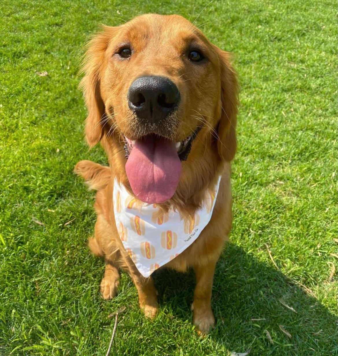 Doggone Adorable