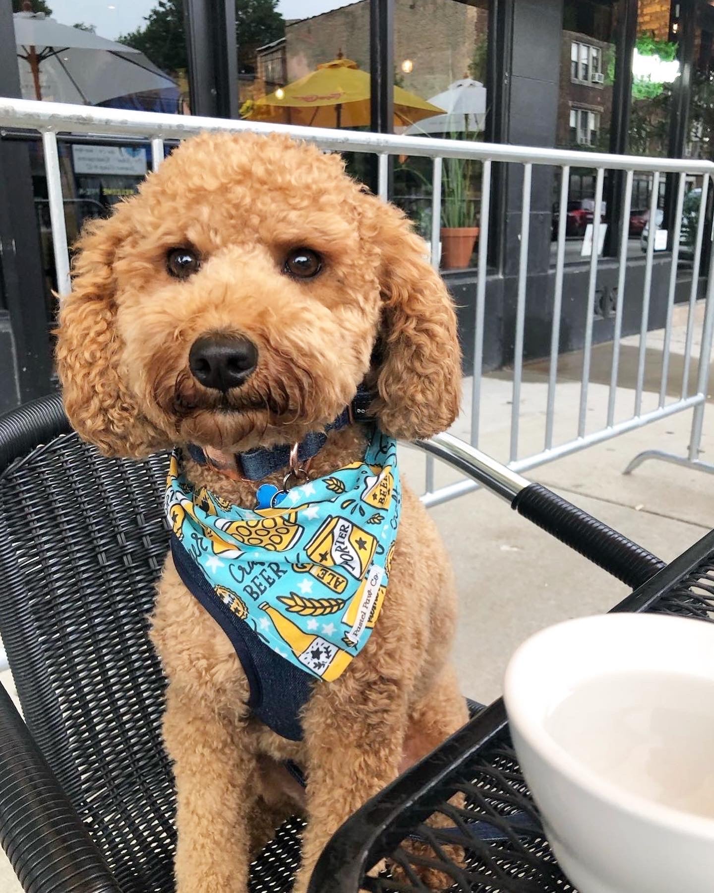 BARKtender