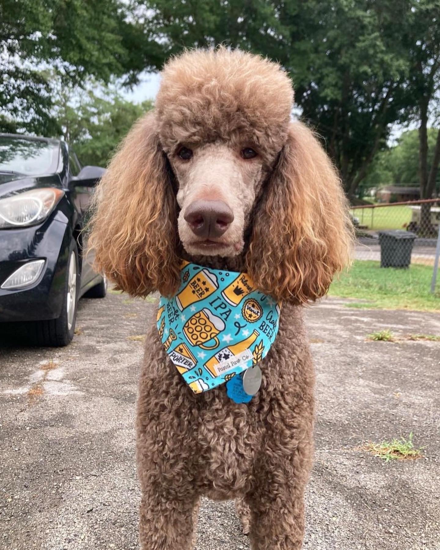 BARKtender