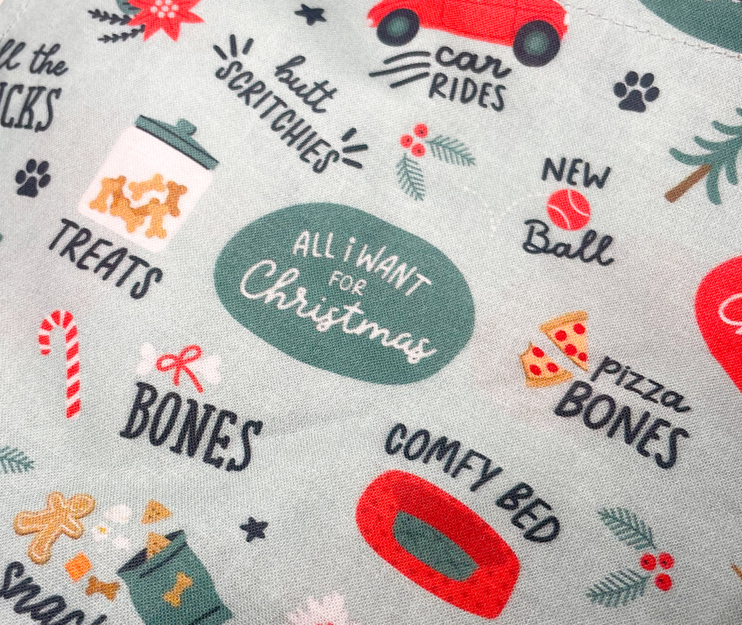 All I Want For Christmas