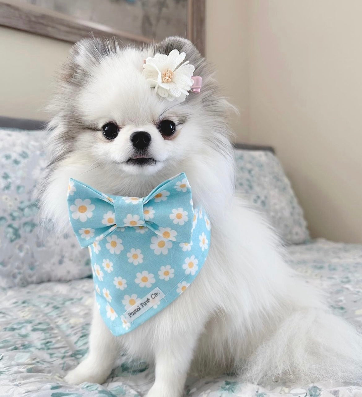 Flower Power