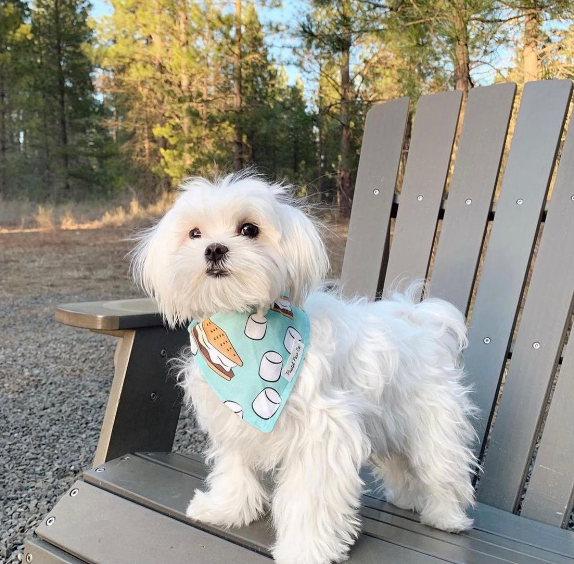Gimme S’more