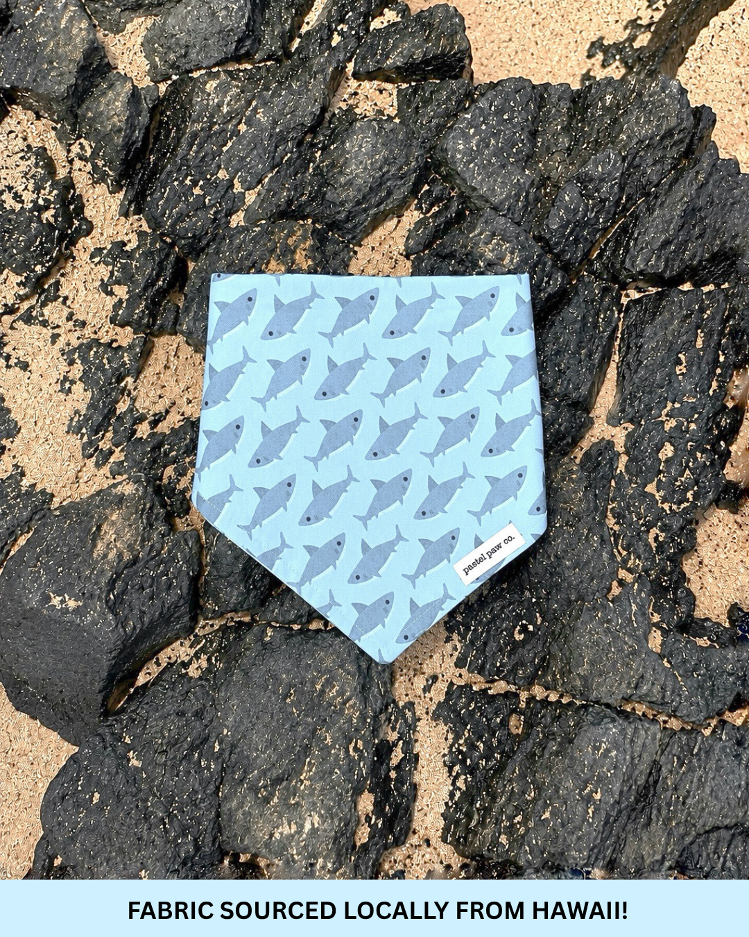 Shark Bait