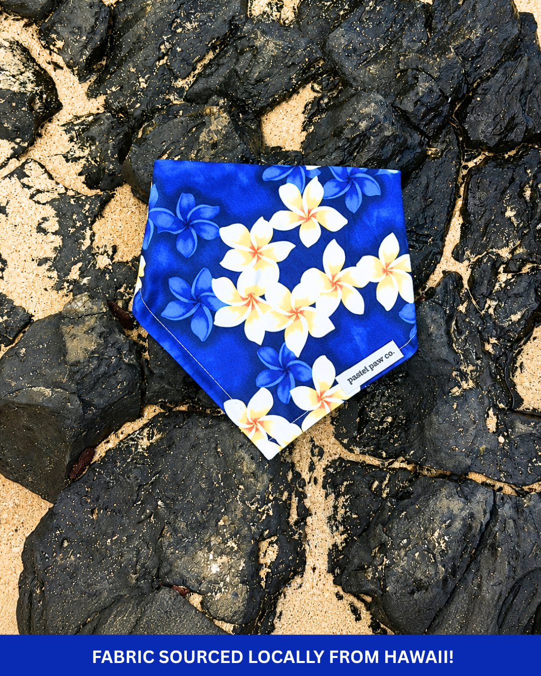 Aloha Adventure - Blue