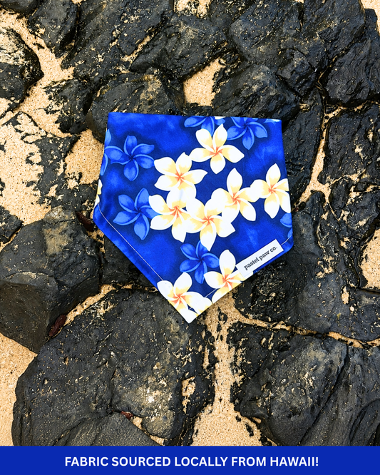 Aloha Adventure - Blue