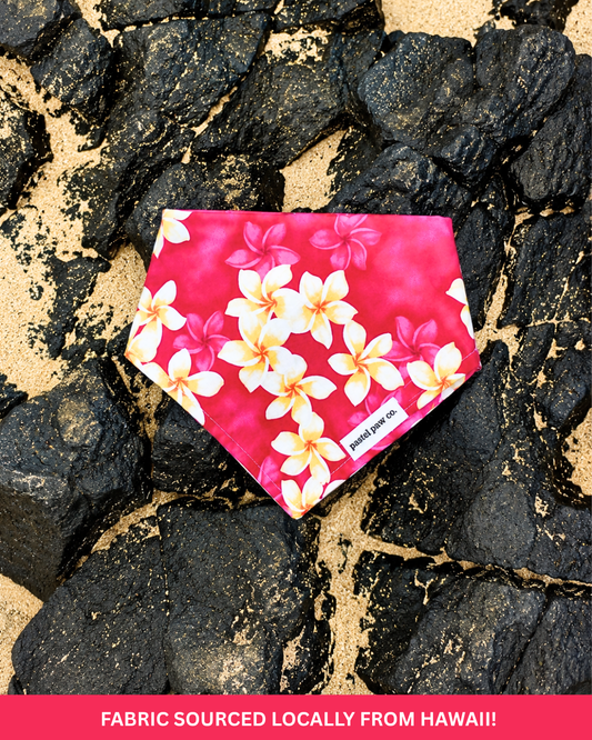 Aloha Adventure - Pink